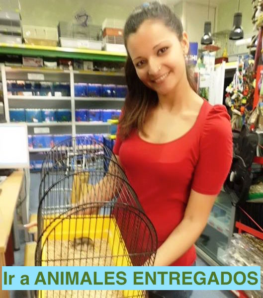 Animales Entregados